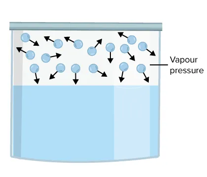 Vapour Pressure Diagram